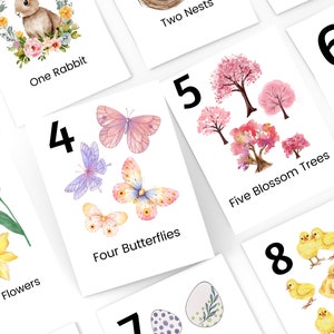 Frühlings-Zahl-Karteikarten 1-10 zum Ausdrucken, Natur-Zahlenkarten, Frühlings-Homeschool zum Ausdrucken, Vorschul-Klassenzimmer, Zähl-Karteikarten