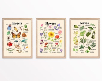 Insects, Flowers & Leaves Educational Print, Montessori Classroom (Digital Download)