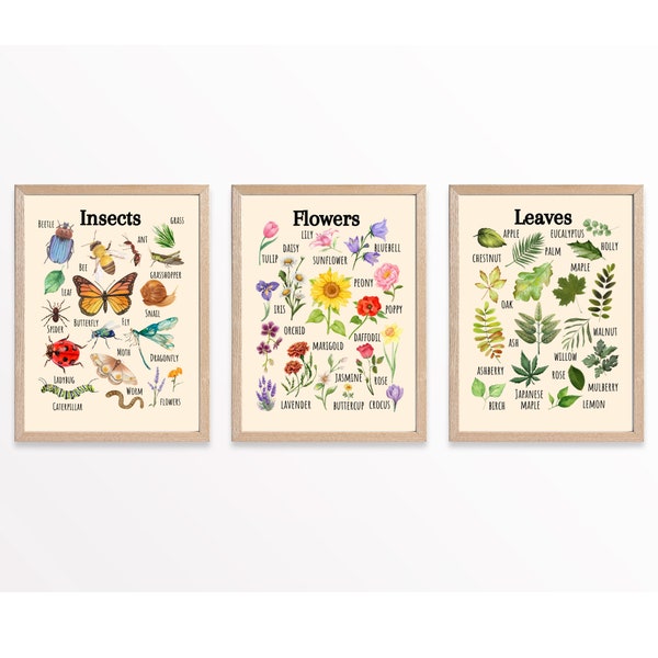 Insects Educational Poster, Flowers Poster, Printable Wall Art, Nature Learning Poster, Montessori, Homeschool, Classroom, Forest School
