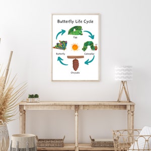 The Very Hungry Caterpillar Life Cycle Poster, Butterfly Lifecycle ...