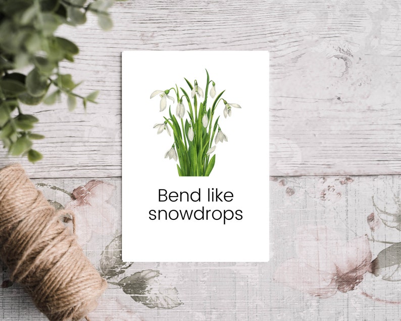 K&ouml;nnte beinhalten: Eine wei&szlig;e Karte mit einem B&uuml;schel wei&szlig;er Schneegl&ouml;ckchen mit gr&uuml;nen Bl&auml;ttern. Der Text "Bend like snowdrops" ist in Schwarz unter den Blumen gedruckt.