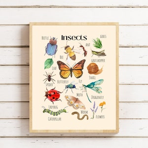 Insekten Kinder Poster, Insekten druckbare Wandkunst, Natur lernen Poster, Montessori, Homeschool, Klassenzimmer Poster, Waldschule