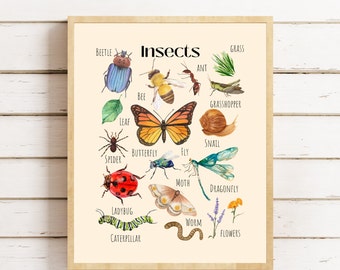 Insects Kids Poster, Insects Printable Wall Art, Nature Learning Poster, Montessori, Homeschool, Classroom Poster, Forest School