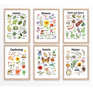 Nature Educational Posters, Printable Wall Art, Classroom Learning Posters, Nursery Wall Decor, Kids Room Decor, Montessori, Homeschool