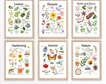 Pósteres educativos sobre la naturaleza, láminas decorativas para imprimir, pósteres para el aula, decoración de pared para guardería, decoración de habitaciones infantiles, Montessori, educación en casa.