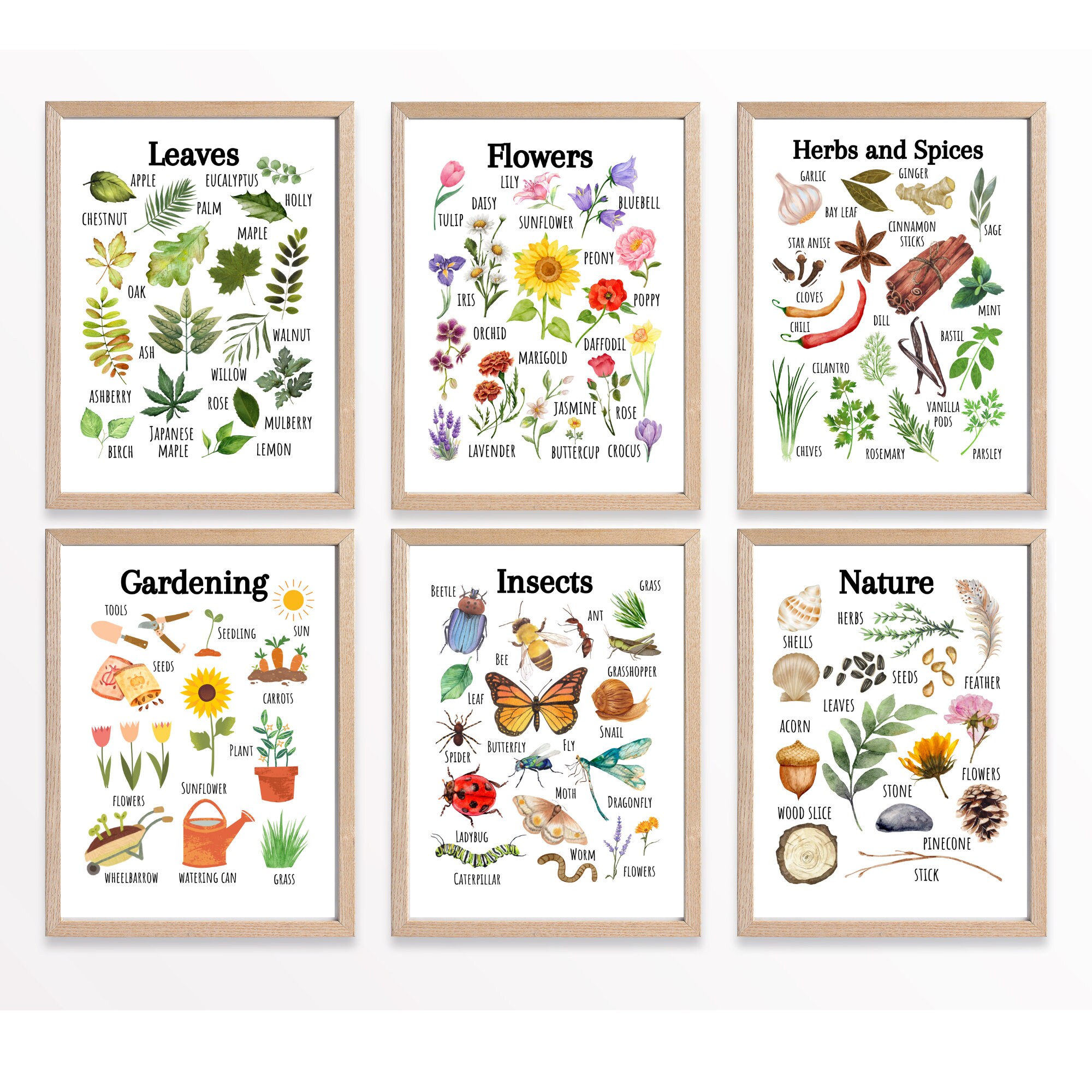 Nature Educational Posters, Printable Wall Art, Classroom Learning ...