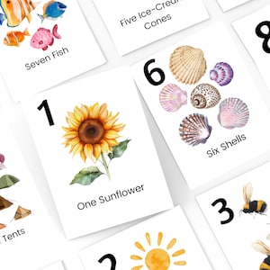 Zomernummer flashcards 1-10 afdrukbaar, natuurnummerkaarten, zomer homeschool afdrukbaar, voorschoolse klas, flashcards tellen