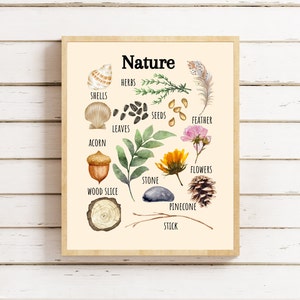Cartel de los niños de la naturaleza, arte de la pared imprimible de la naturaleza, cartel de aprendizaje de la naturaleza, juego de la naturaleza, Montessori, escuela en casa, cartel del aula, escuela forestal