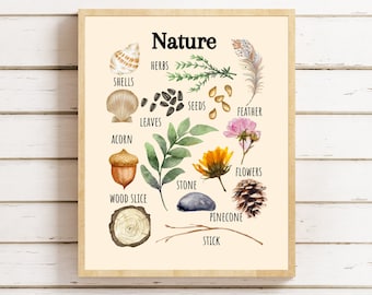 Nature Learning Poster, Montessori Homeschool Decor (Digital Download)