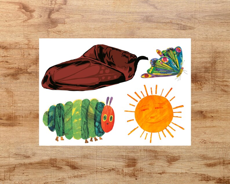 May include: A set of four colorful illustrations featuring a green caterpillar, a brown cocoon, a yellow sun with a smiling face, and a colorful butterfly with black outlines.