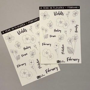 Jahr in Blumen - Februar Violets Line Art floral matte Sticker Sheet