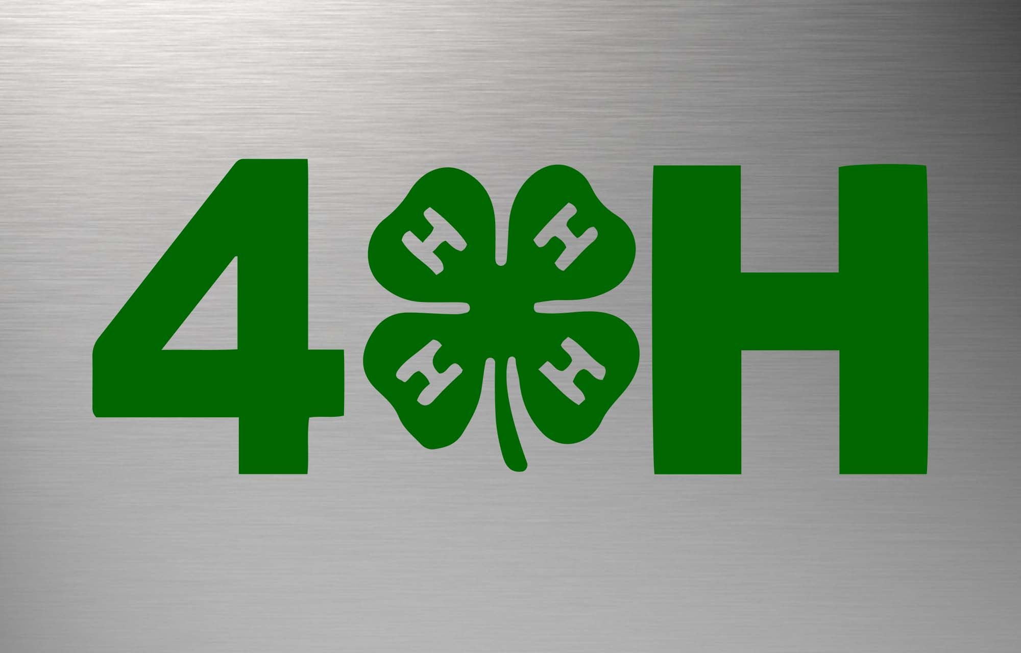 4H Svg 4H Clover Svg 4H Svg 4H Logo Svg 4H Vector 4H Etsy Singapore