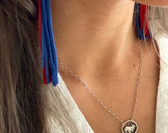 Red and blue tassel earrings