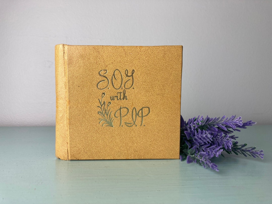 Vintage Grandmother Brag Book Purse Photo Album - Etsy