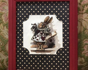 White Rabbit 1