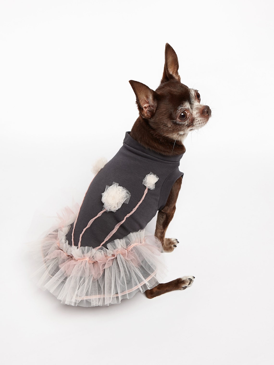 Chihuahua clothes Designer dog clothes Dog dress clothes Etsy