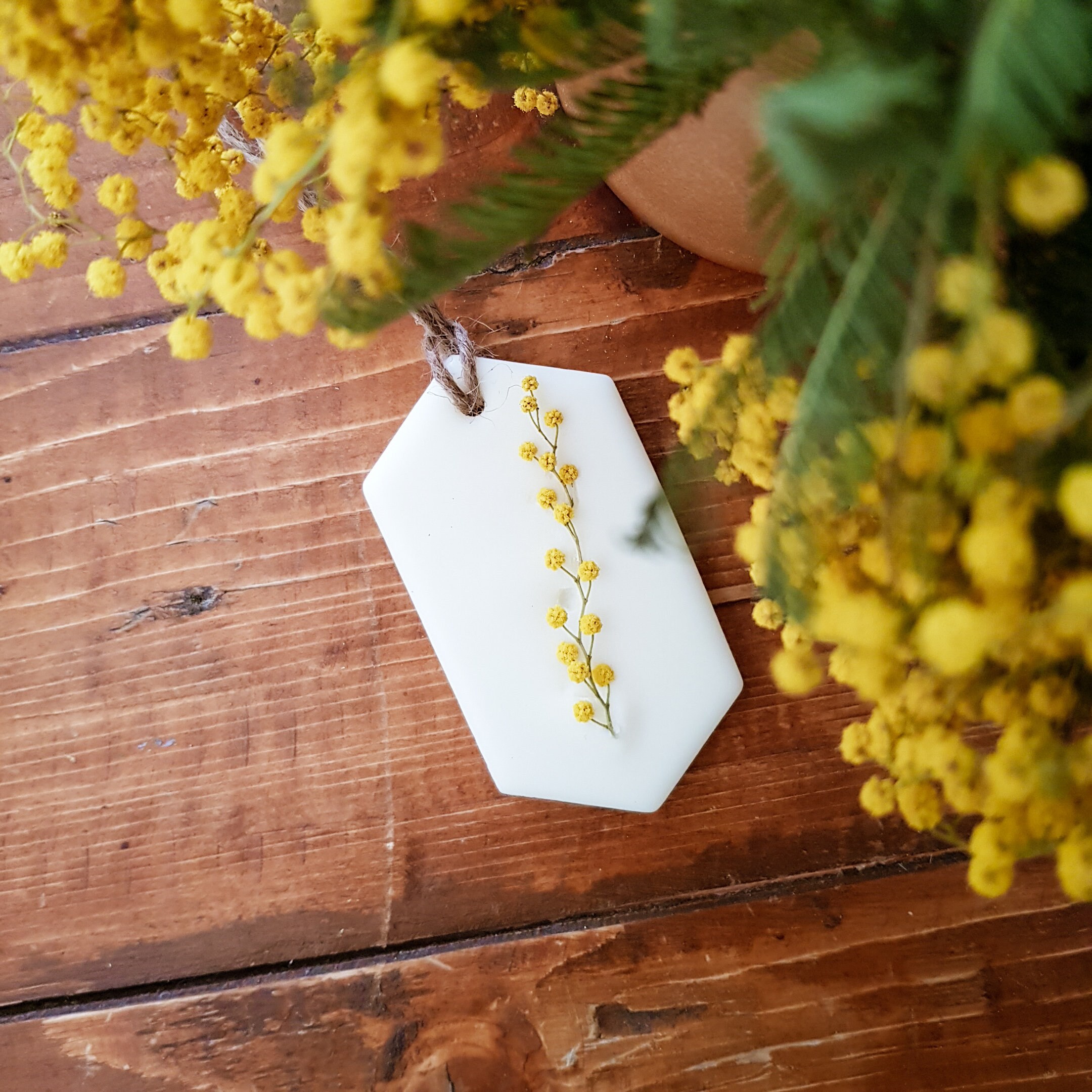 Tablette Mimosa Aromates, Fondant à Suspendre, Cire Végétale de Soja