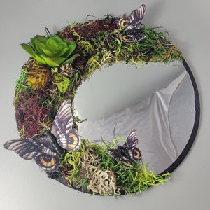 May include: A black half-moon mirror with a green moss and succulent wreath. The wreath is decorated with three butterflies, two with brown and yellow wings and one with black and yellow wings.