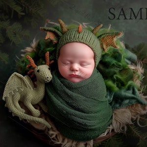May include: A newborn baby wearing a green and orange crocheted dragon hat and swaddled in a green blanket. A green crocheted dragon toy is next to the baby.
