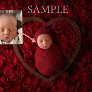May include: A newborn baby wrapped in a red swaddle and wearing a red crocheted hat is lying in a heart-shaped wooden bowl filled with red rose petals. The bowl is sitting on a bed of red rose petals.