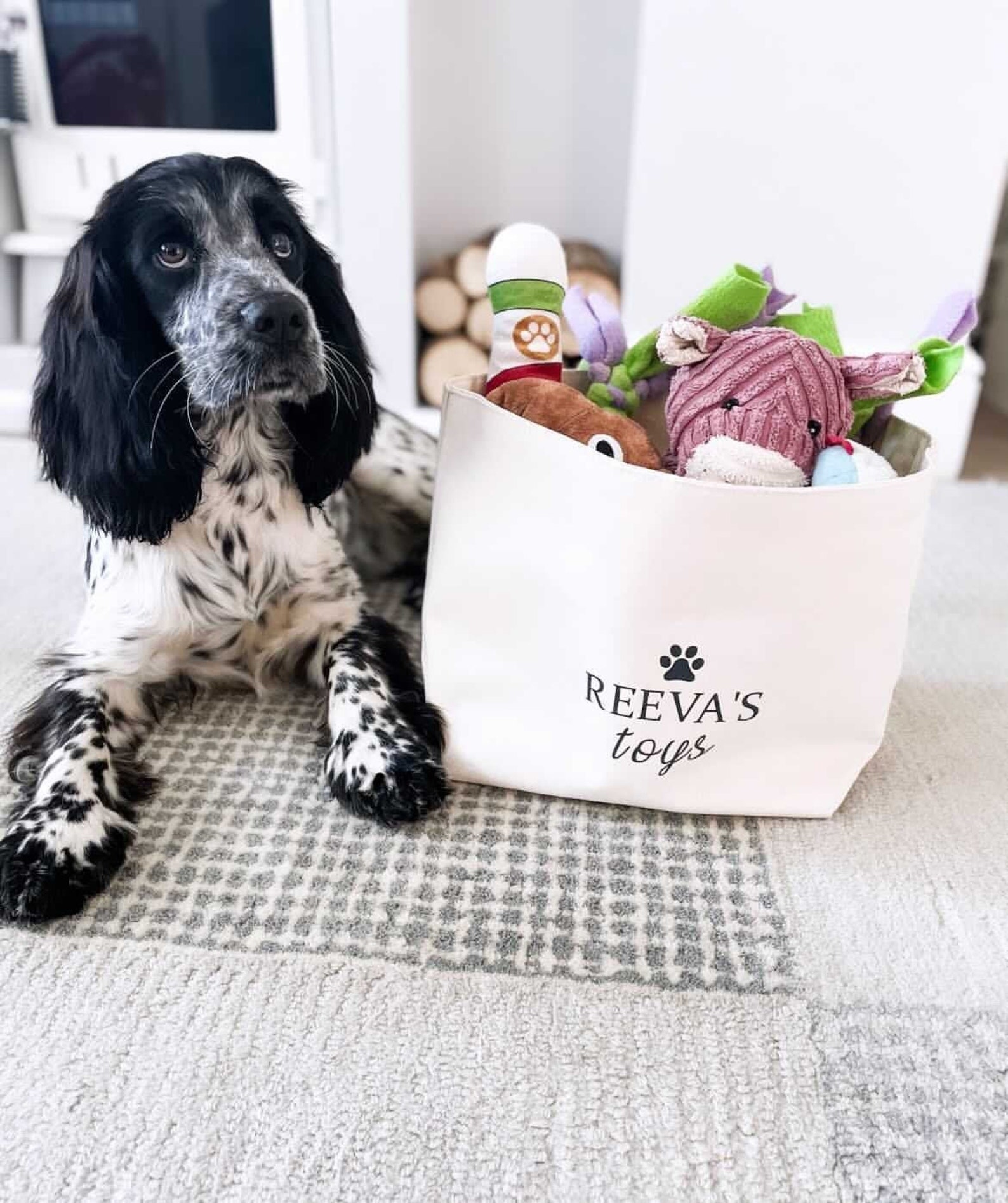 Personalised Dog Toy Basket Dog Toy Box Dog Storage Basket Etsy