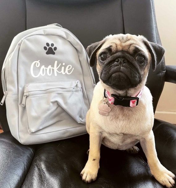 Puppy rucksack sale