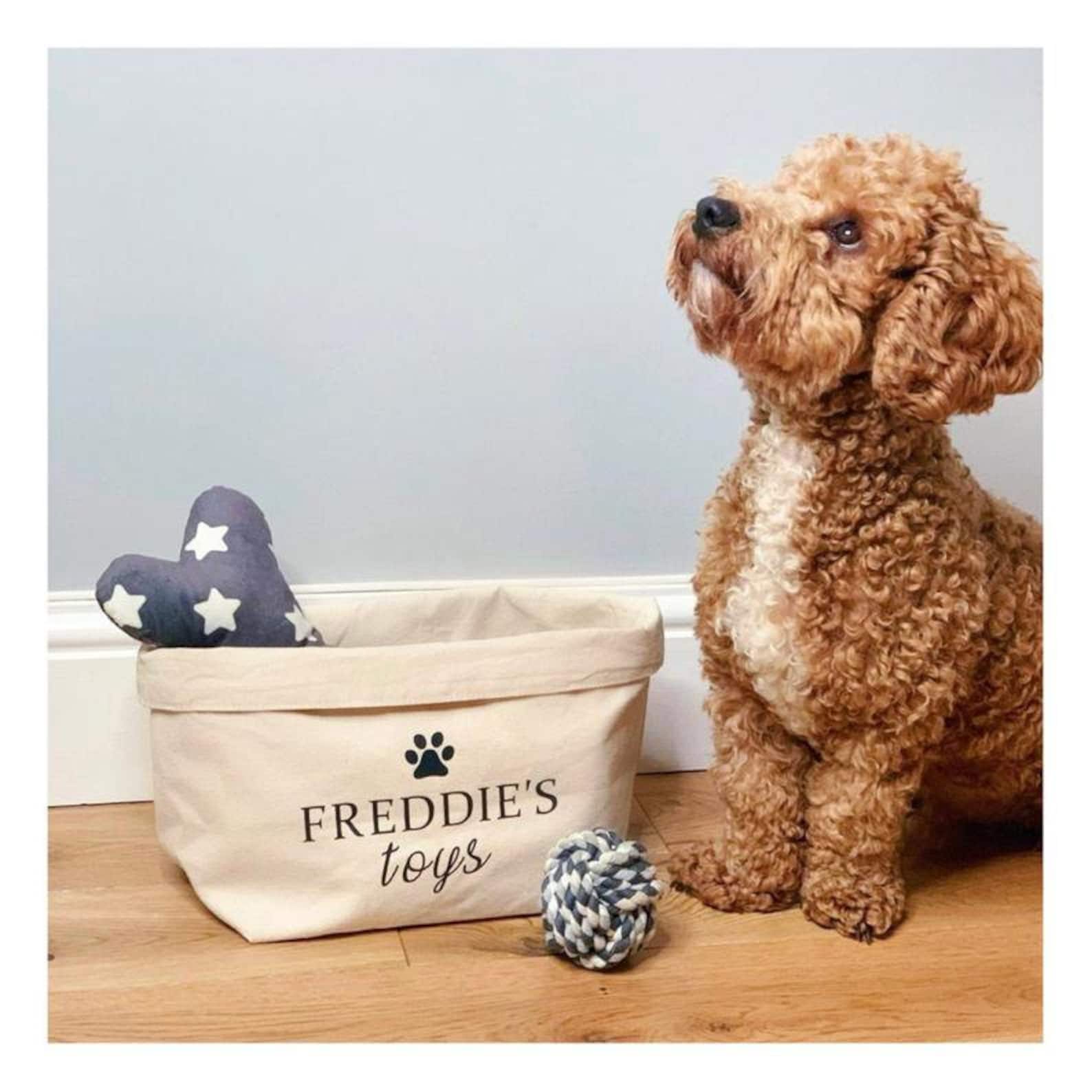 Personalised Dog Gift New Puppy Gift Puppy Starter Pack Etsy UK