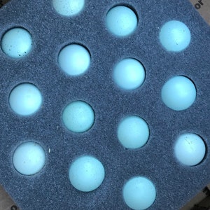 Celadon Blue Coturnix Quail Eggs! **100% True Blue**