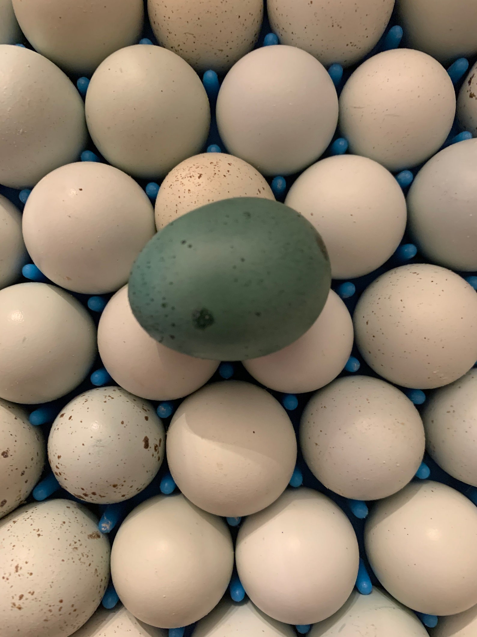 30 Rare Colors Hollow Quail Eggs for Crafts hand Blown 1 | Etsy