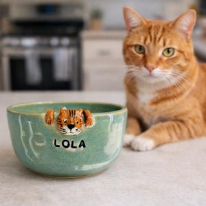 May include: A teal ceramic pet bowl with a tiger cub design. The bowl has the name "LOLA" in black letters. An orange tabby cat is in the background.