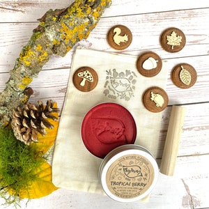 WOODLAND PLAYDOUGH STAMPS- Autumn Theme-Nature Craft Kit- Gift for Toddlers-Playdough Kit- Eco Toy-Toddler Gift-Creative Toy-Plant-Made