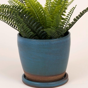 May include: A potted fern with vibrant green fronds. The plant is in a blue ceramic pot with a matching saucer. The pot has a textured surface and a brown band near the base. The plant adds a touch of nature to any space.