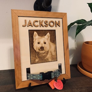Personalized Pet Portrait & Collar Display - Personalized Pet Memorial, Dog Memorial , Dog Collar Display, Pet Loss Gift