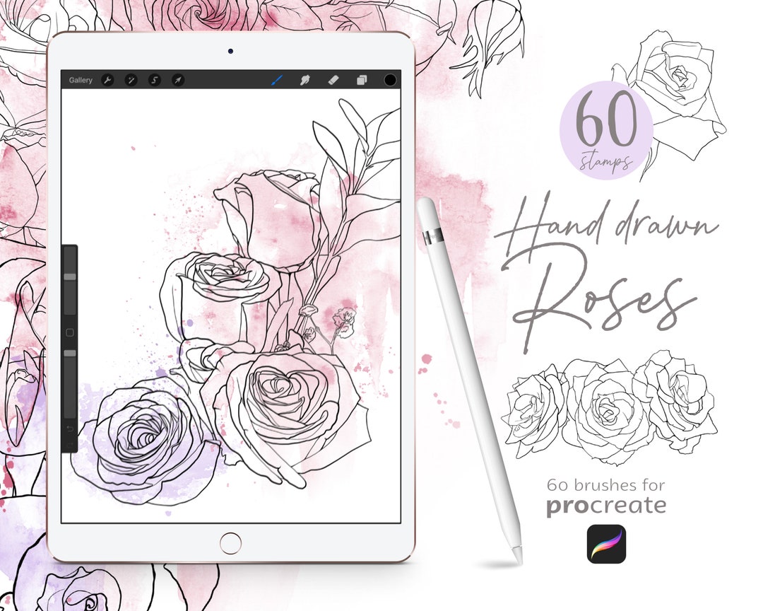 60 Hand-drawn Line-art Rose Stamp Brushes for Procreate - Floral ...