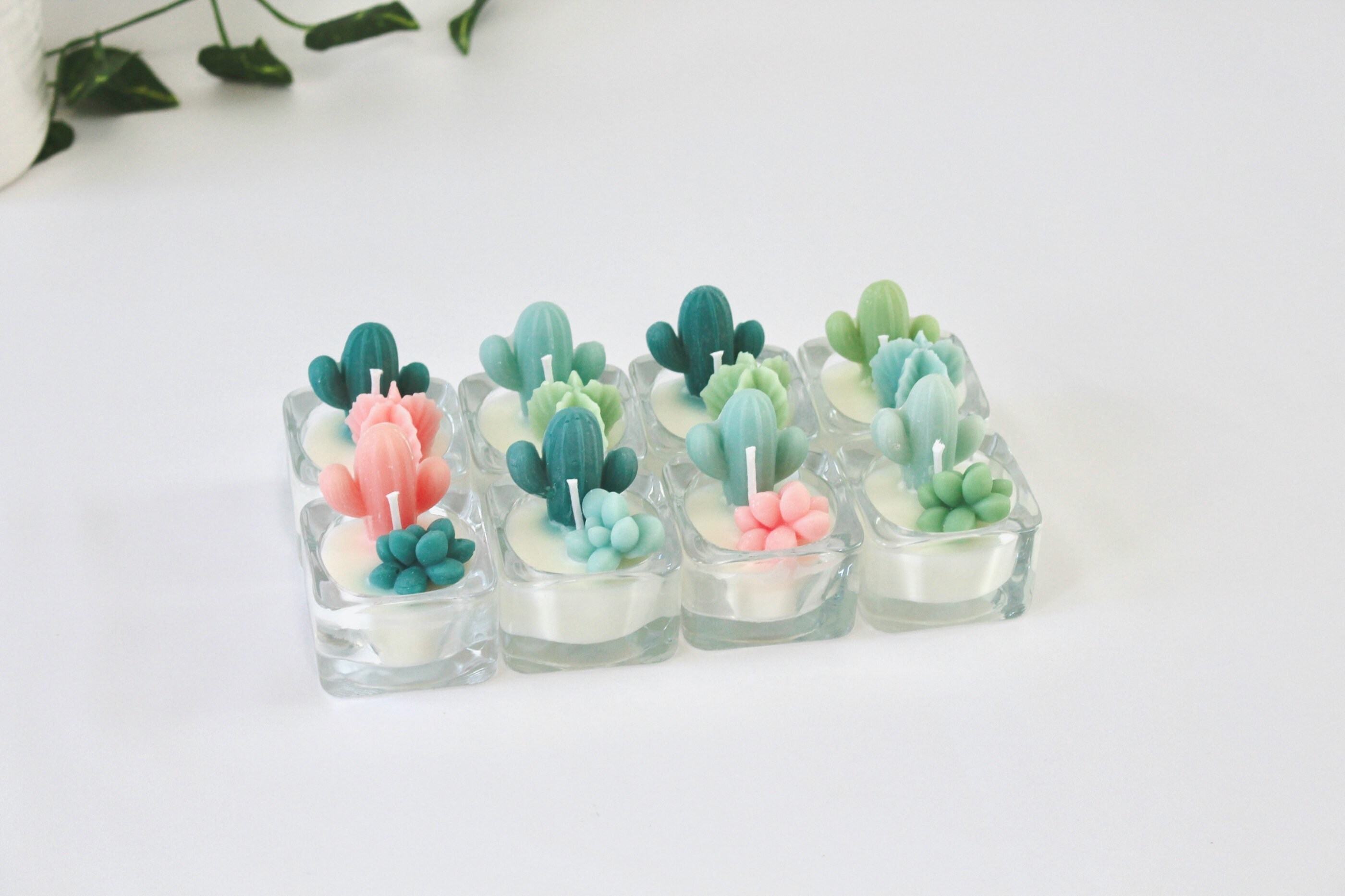 Succulent Candles - Etsy Succulent Candles - Etsy