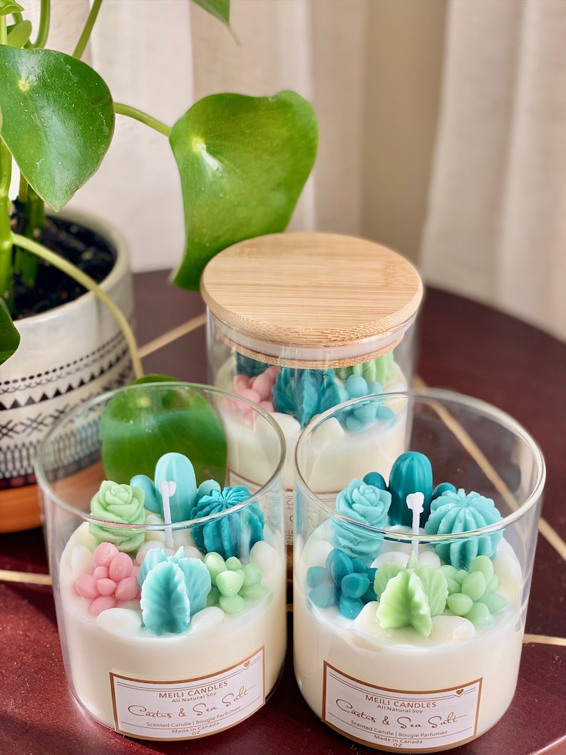 14oz Terrarium Candle With Small Pebbles Large Cactus Candle Etsy Canada