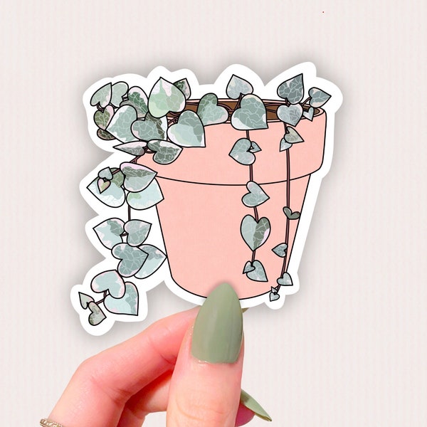 string of hearts sticker, houseplant sticker, ceropegia woodii sticker, plant gifts for women, houseplant art,