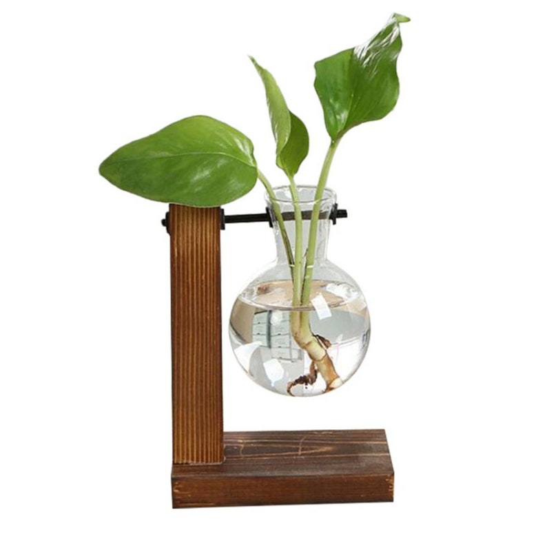 Rustic Bulb Planter Terrarium With Wooden Stand