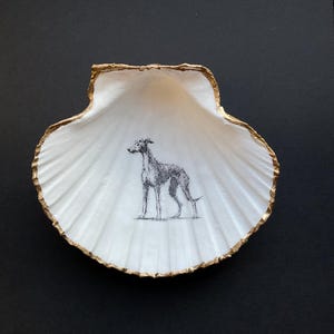 May include: A white seashell trinket dish with a gold-painted edge. Inside is a detailed black and white illustration of a greyhound dog. The dish is set against a black background.