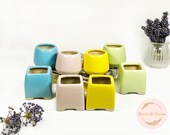 Succulent Cactus Planter (Set of 4) Small Ceramic Flower Pot Double Handle Cute Pot