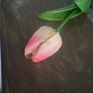 primitive faux tulips 13. Pink with cream