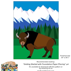 Mountain Bison