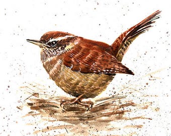 Zaunkönig Aquarell Art Print Braun Vogel Wand Kunst Vogel Liebhaber Geschenk Wald Natur Dekor Kleiner Vogel Malerei Realistischer Zaunkönig Vogel Poster