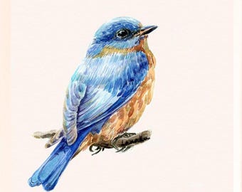 Dipinto di uccello azzurro orientale, uccello azzurro su ramo, stampa artistica ad acquerello, regalo per osservatori di uccelli, fauna selvatica americana, arte contadina