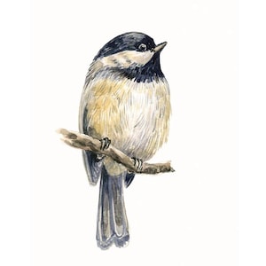 Pintura de carbonero, pájaro en rama, acuarela, arte de pared, impresión, obra de arte animal, decoración de guardería, hogar, granja, regalo para amantes de las aves