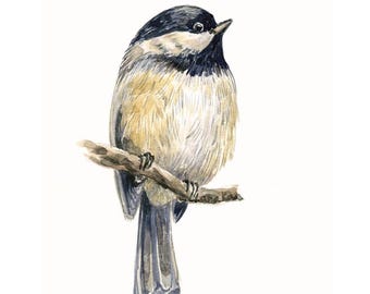 Chickadee schilderij aquarel vogel op tak muurkunst print dierenkunstwerk kinderkamer woondecoratie boerderij vogelliefhebber cadeau