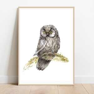 Owl Art Print Owl Watercolor Art Bird Illustration Nursery Wall Decor Owl Wall Art Bird Watercolor Artwork Animal Painting by LanaKa