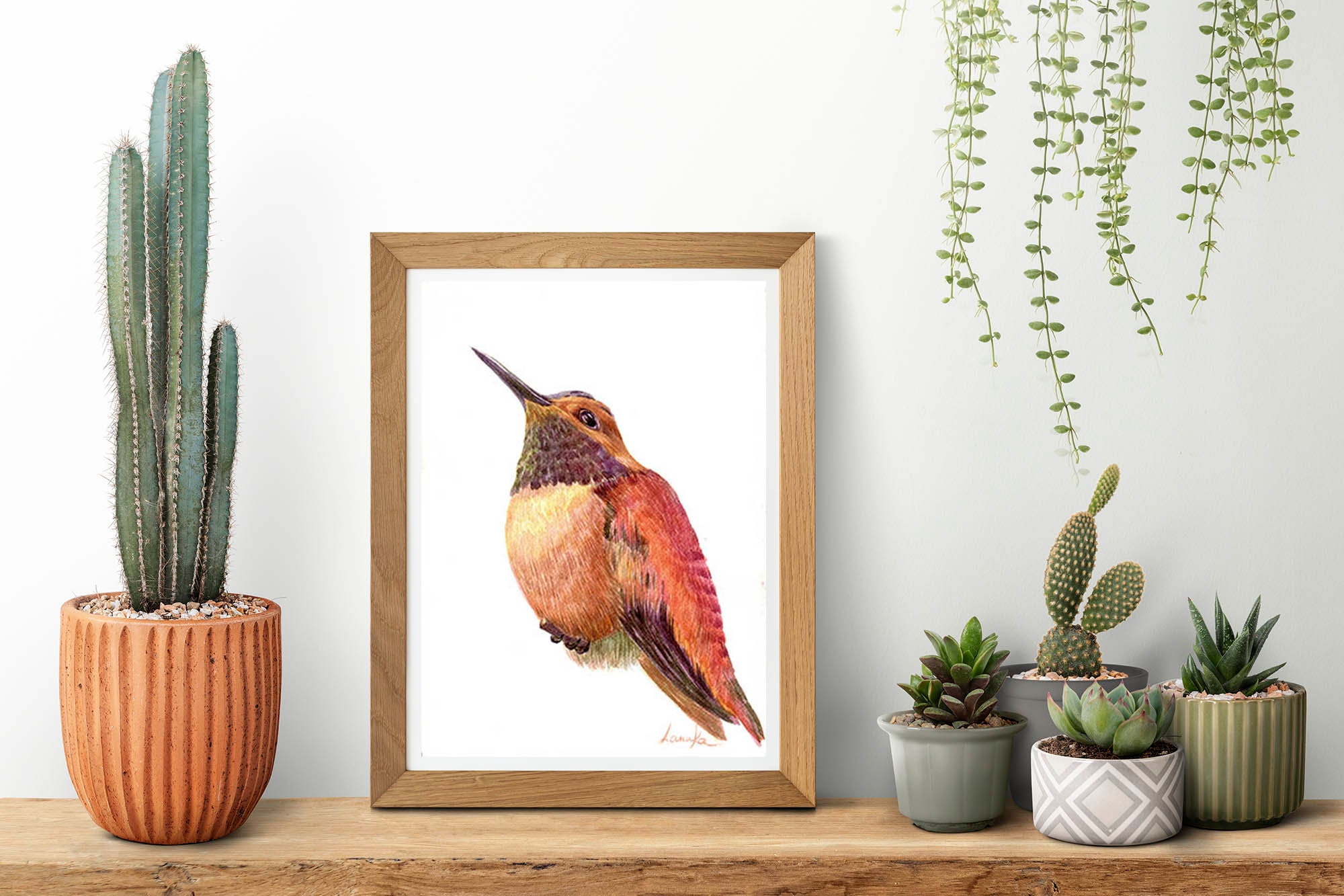 Field Guide Ruby-Throated Hummingbird 5x7 Canvas, Handcrafted