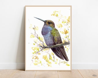 Hummingbird Art Print Bird Watercolor Wall Art Animal Home Decor Hummingbird Watercolor Painting by LanaKa