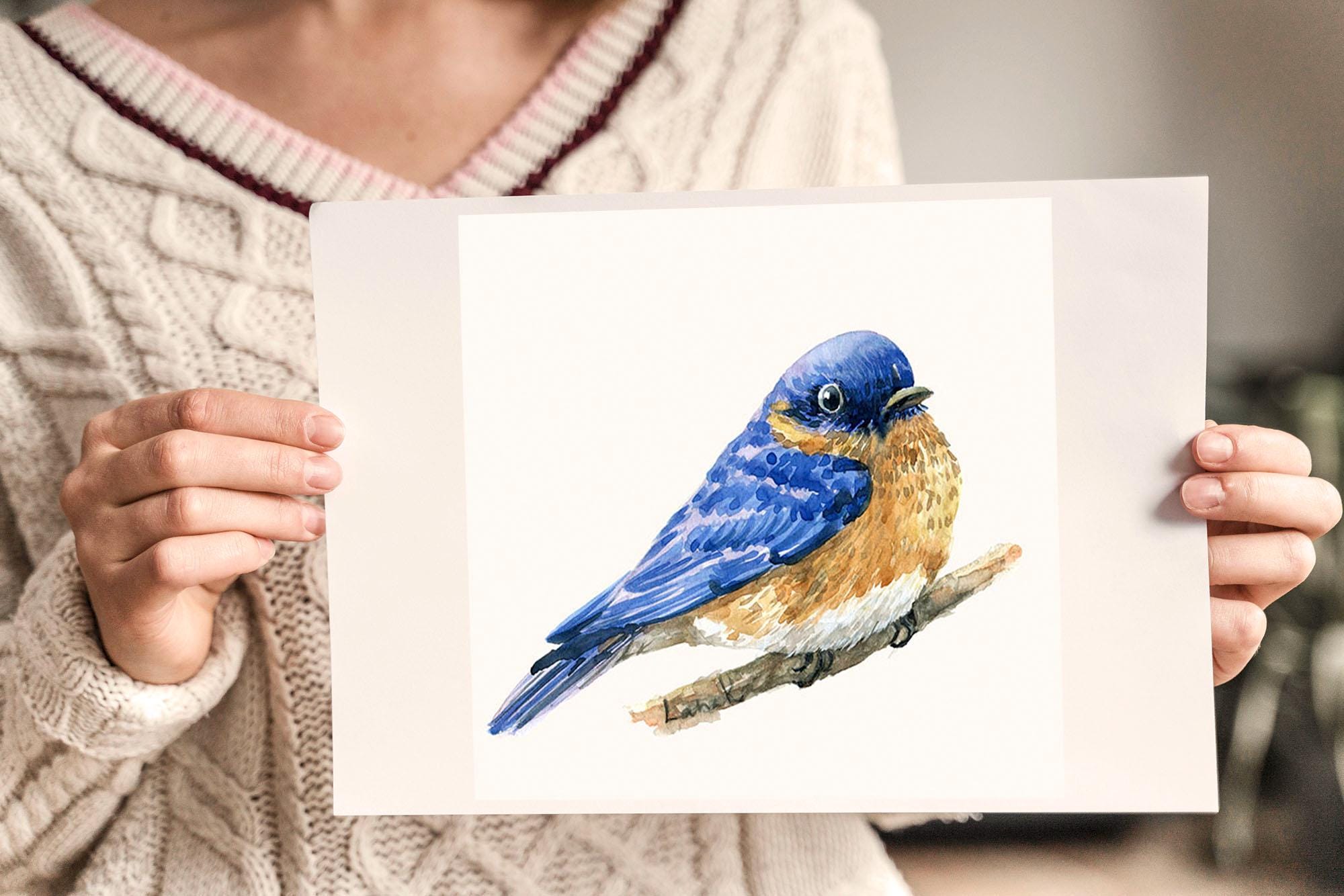 Bluebird Painting Watercolor Art Print Eastern Blue Bird on Branch ...